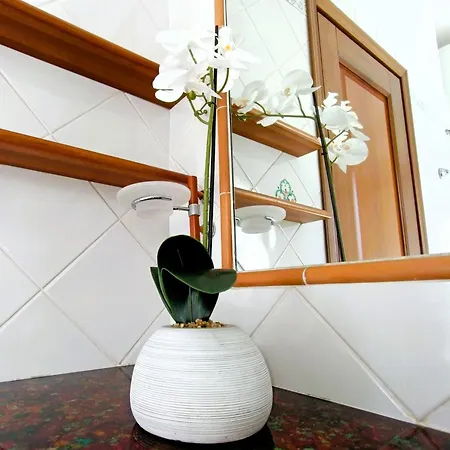 Apartment Soraya By Kenekita Olbia
